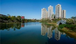 云城最新爆料,揭秘神秘项目背后的惊人真相